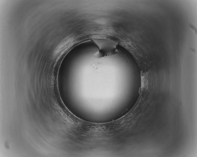 X0000101220243200807071354