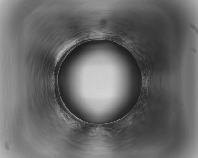 X0000101220244200807071354