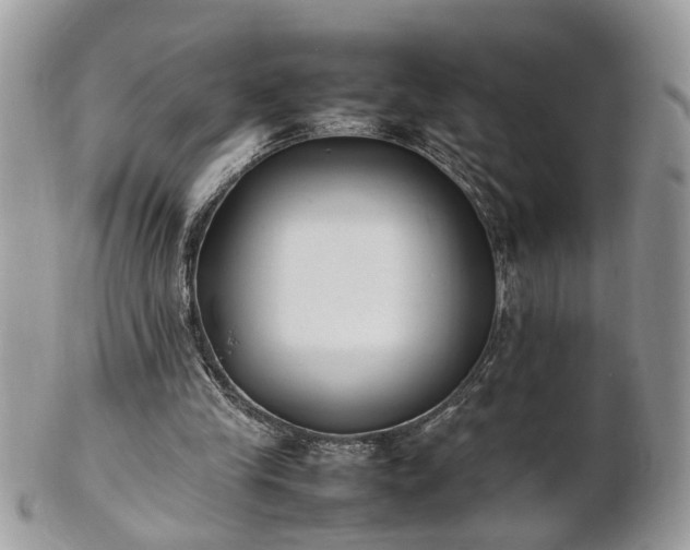 X0000101220245200807071354