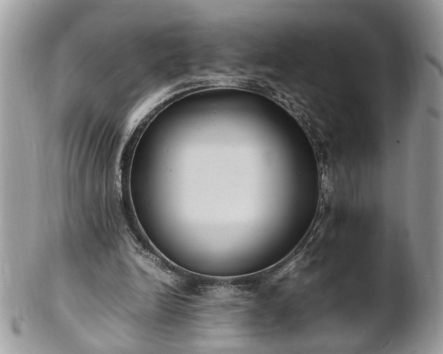X0000101220246200807071354