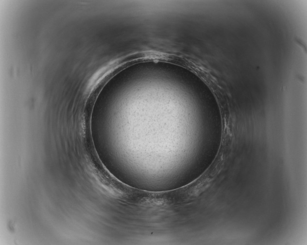 X0000101220247200807071354