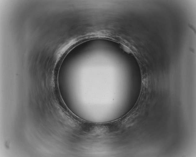 X0000101220248200807071355