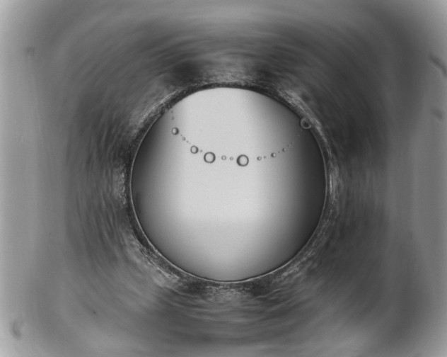 X0000101220249200807071355