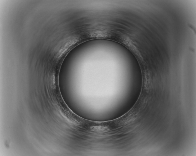 X0000101220251200807071355