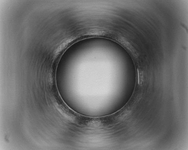 X0000101220252200807071355