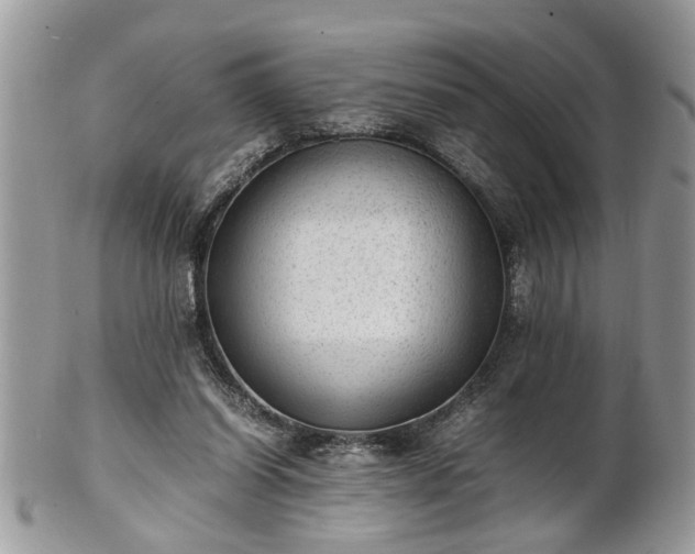 X0000101220254200807071355