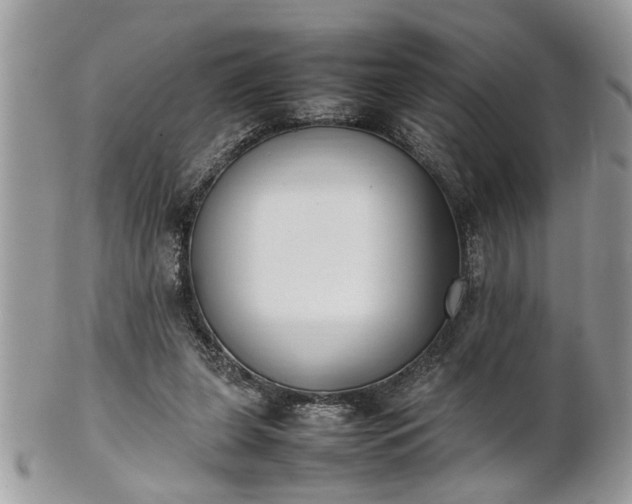 X0000101220255200807071355