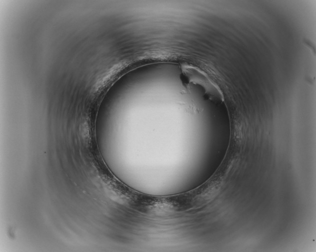 X0000101220256200807071355