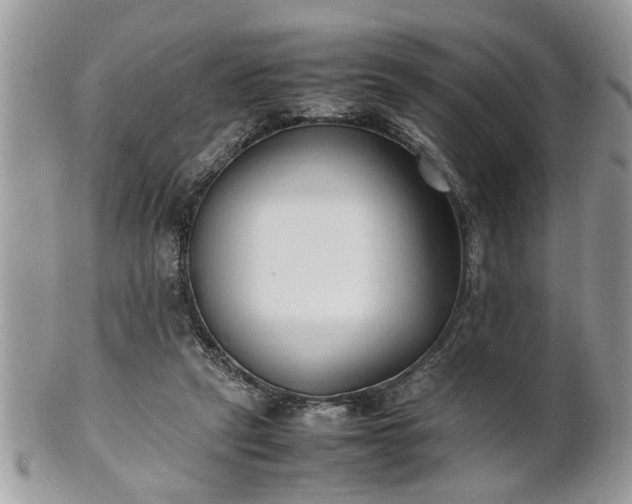X0000101220257200807071355