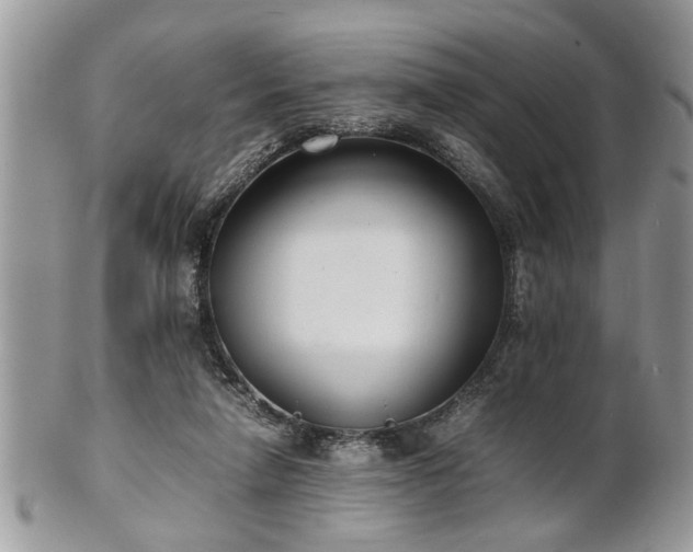 X0000101220258200807071355