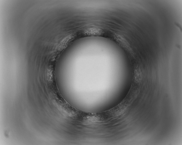 X0000101220259200807071355