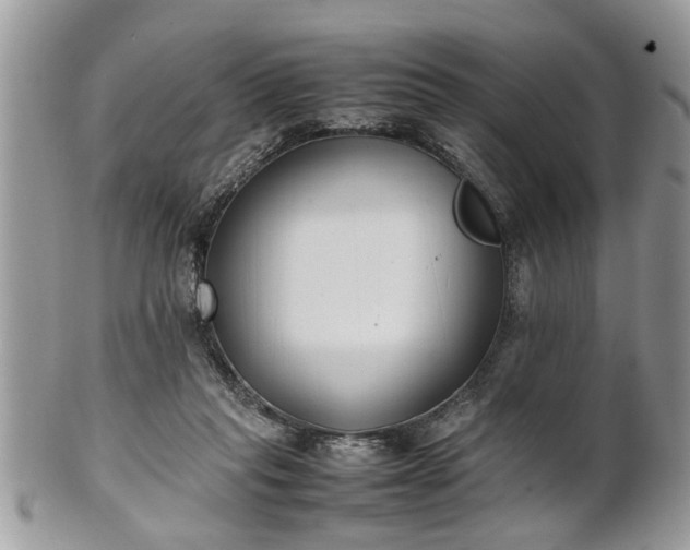 X0000101220261200807071355