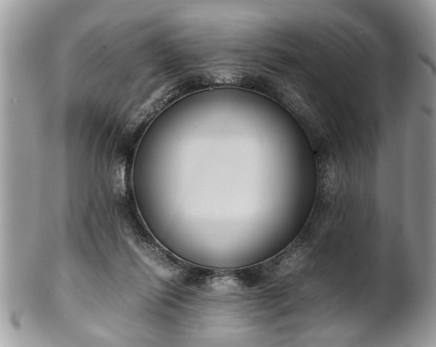 X0000101220262200807071355