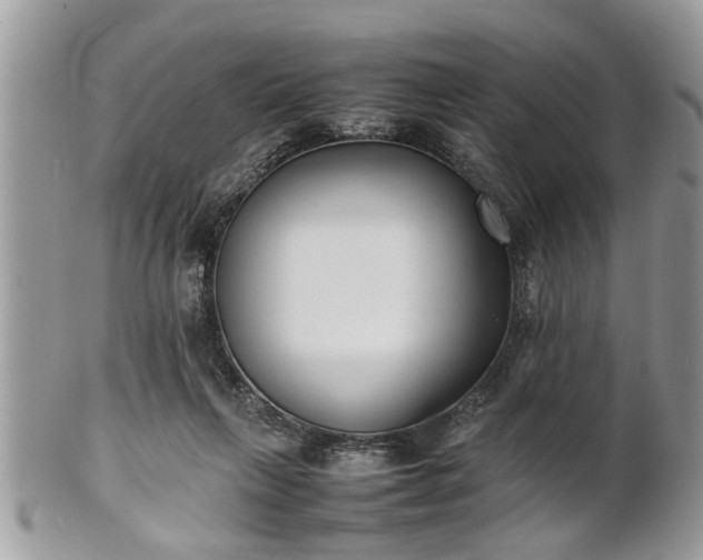X0000101220263200807071355