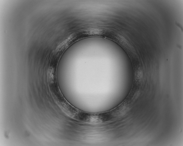 X0000101220264200807071355