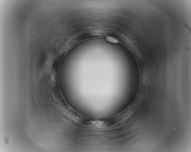 X0000101220265200807071355