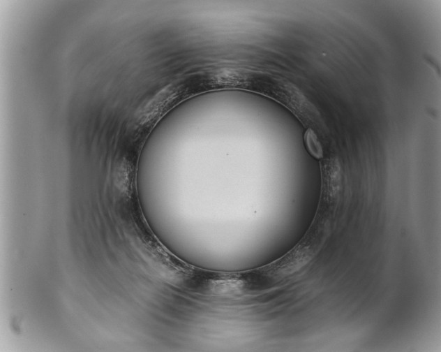 X0000101220266200807071355