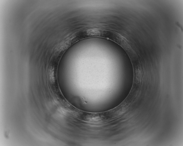 X0000101220267200807071355