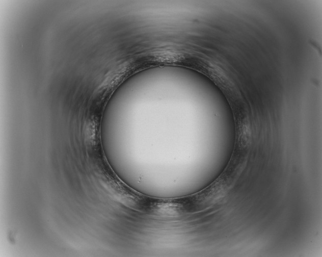 X0000101220268200807071355