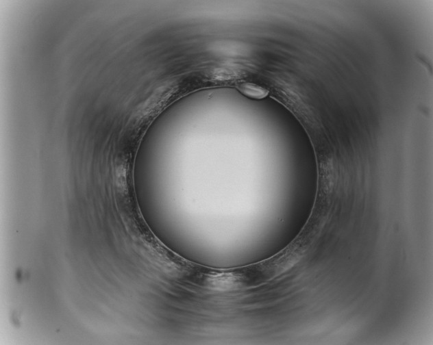 X0000101220269200807071355