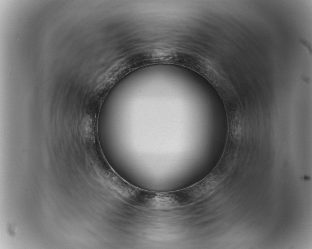 X0000101220270200807071355