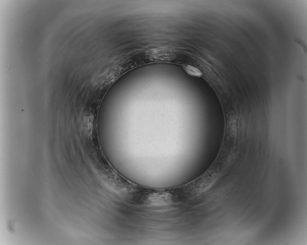 X0000101220271200807071355