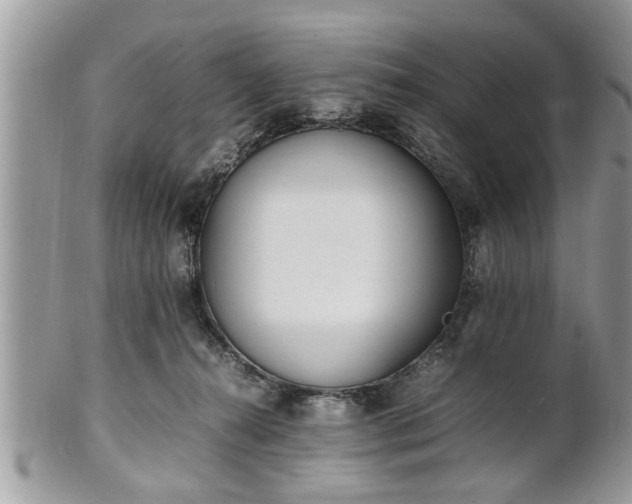 X0000101220272200807071355