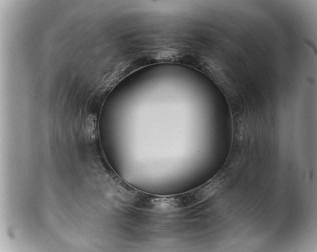 X0000101220273200807071355