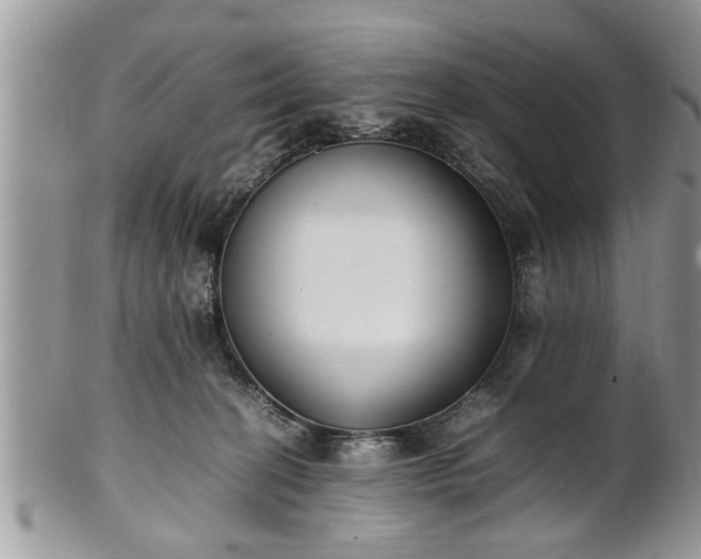 X0000101220274200807071355