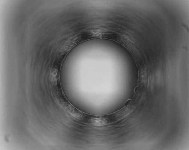 X0000101220275200807071355