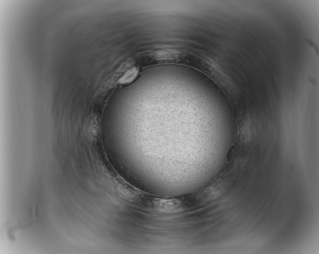 X0000101220277200807071355