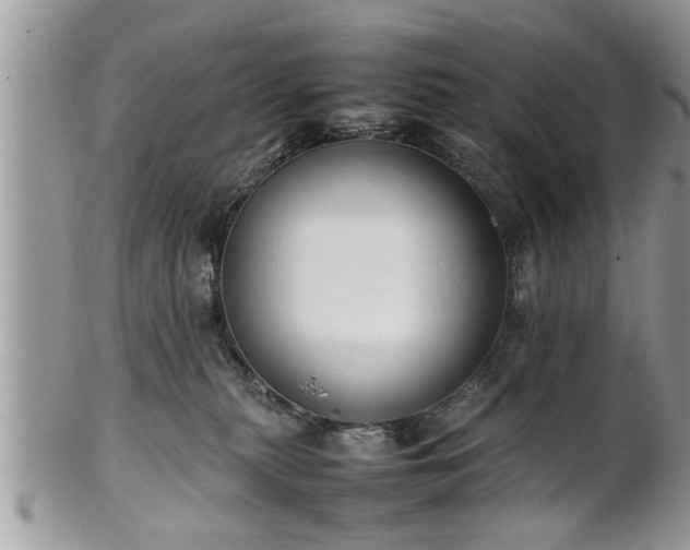X0000101220279200807071355