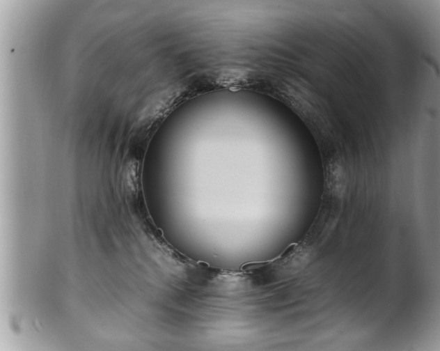 X0000101220280200807071355