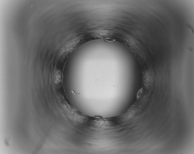 X0000101220284200807071355