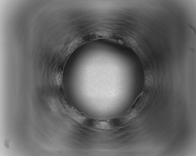 X0000101220285200807071355