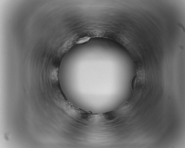 X0000101220286200807071355