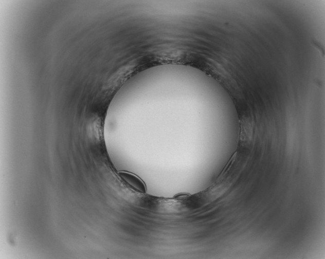 X0000101220287200807071355