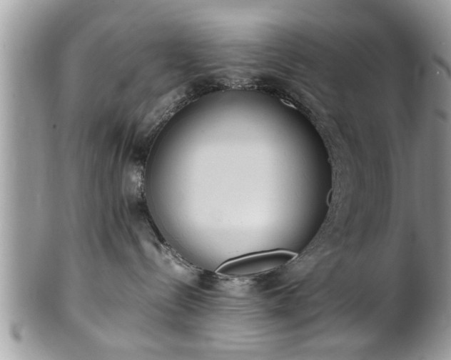 X0000101220288200807071355