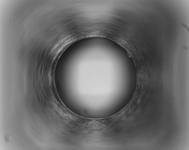 X0000101220290200807071354