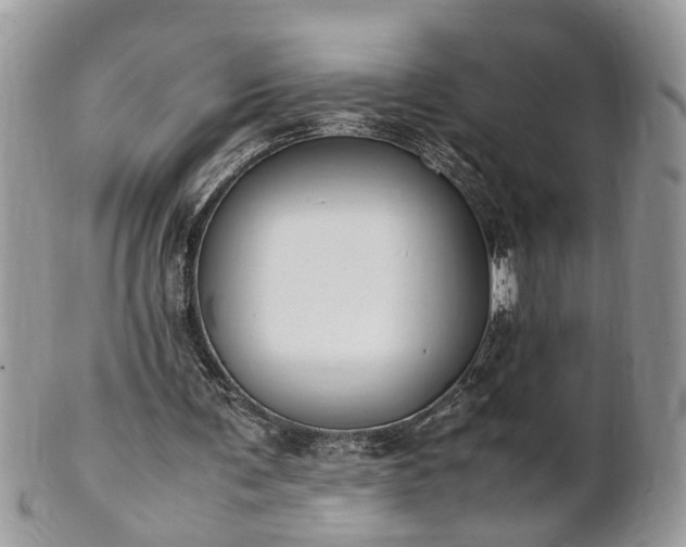 X0000101220291200807071354