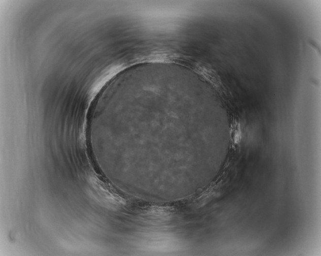 X0000101220292200807071354
