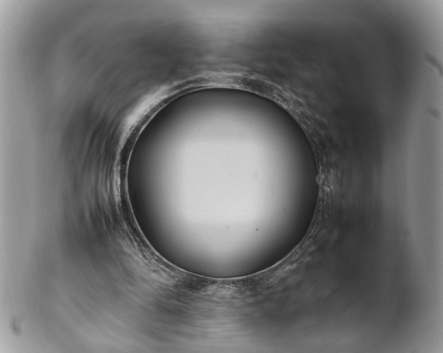 X0000101220294200807071354