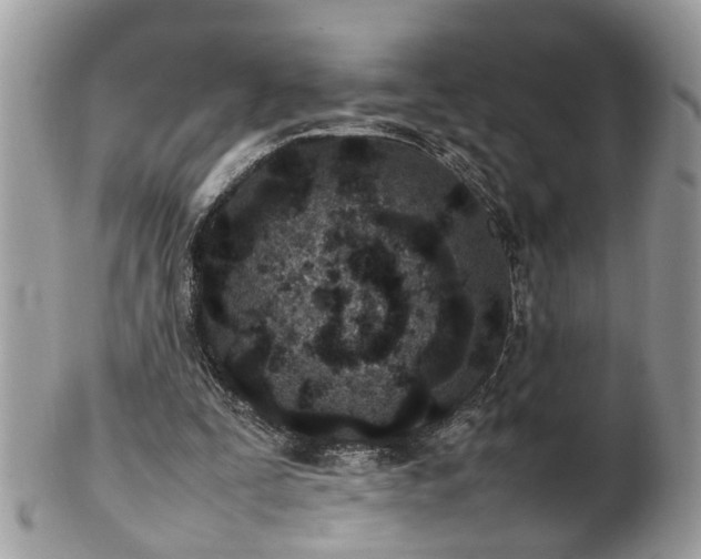 X0000101220295200807071354