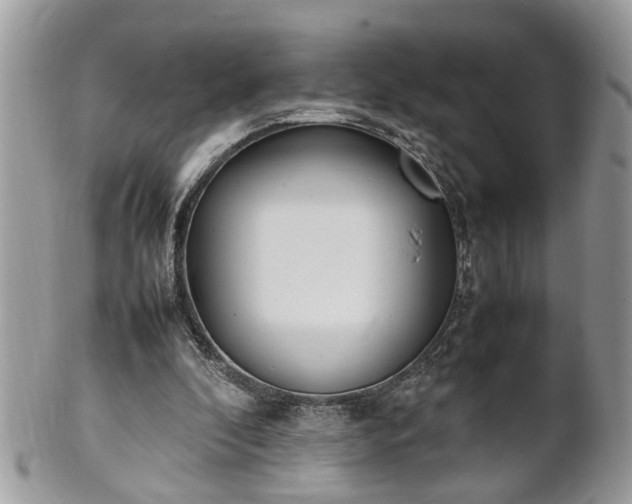 X0000101220296200807071354