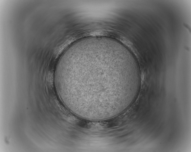 X0000101220297200807071354