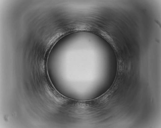 X0000101220298200807071354