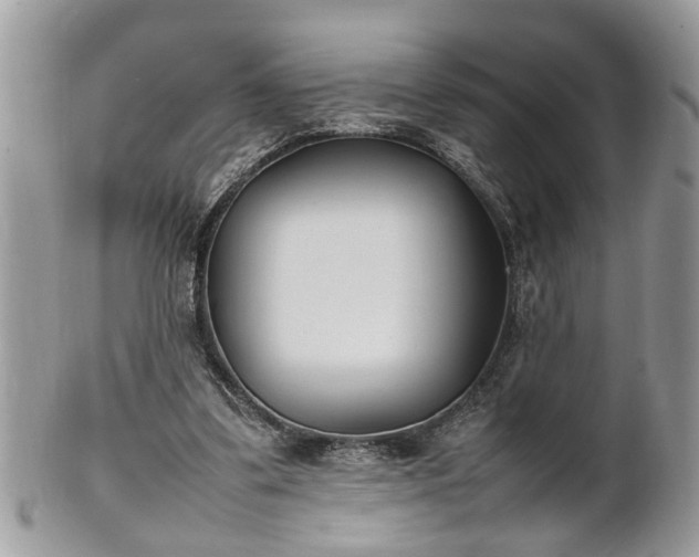 X0000101220299200807071354