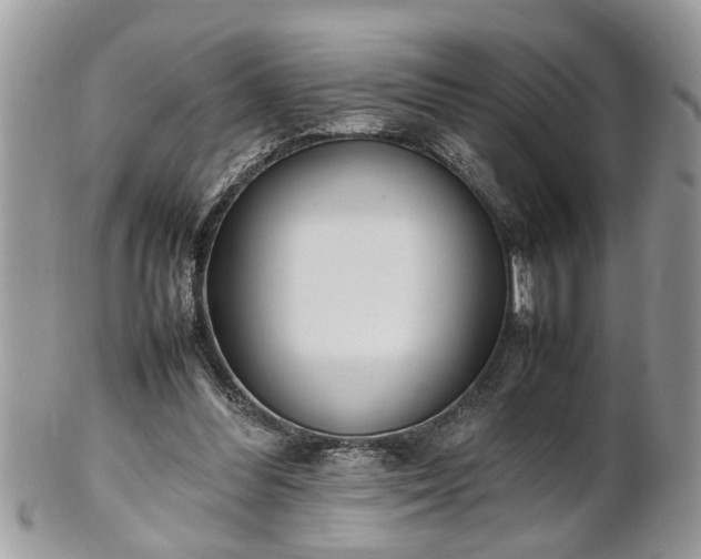 X0000101220300200807071354