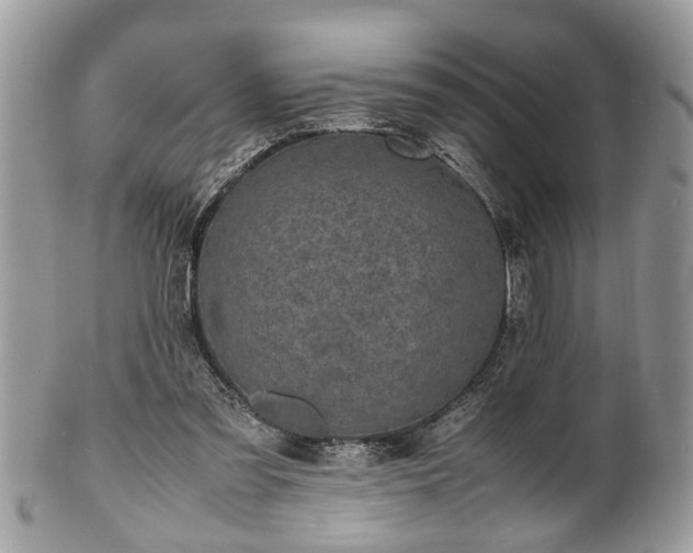 X0000101220301200807071354