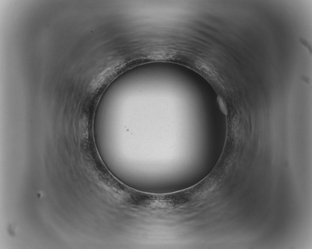 X0000101220303200807071354